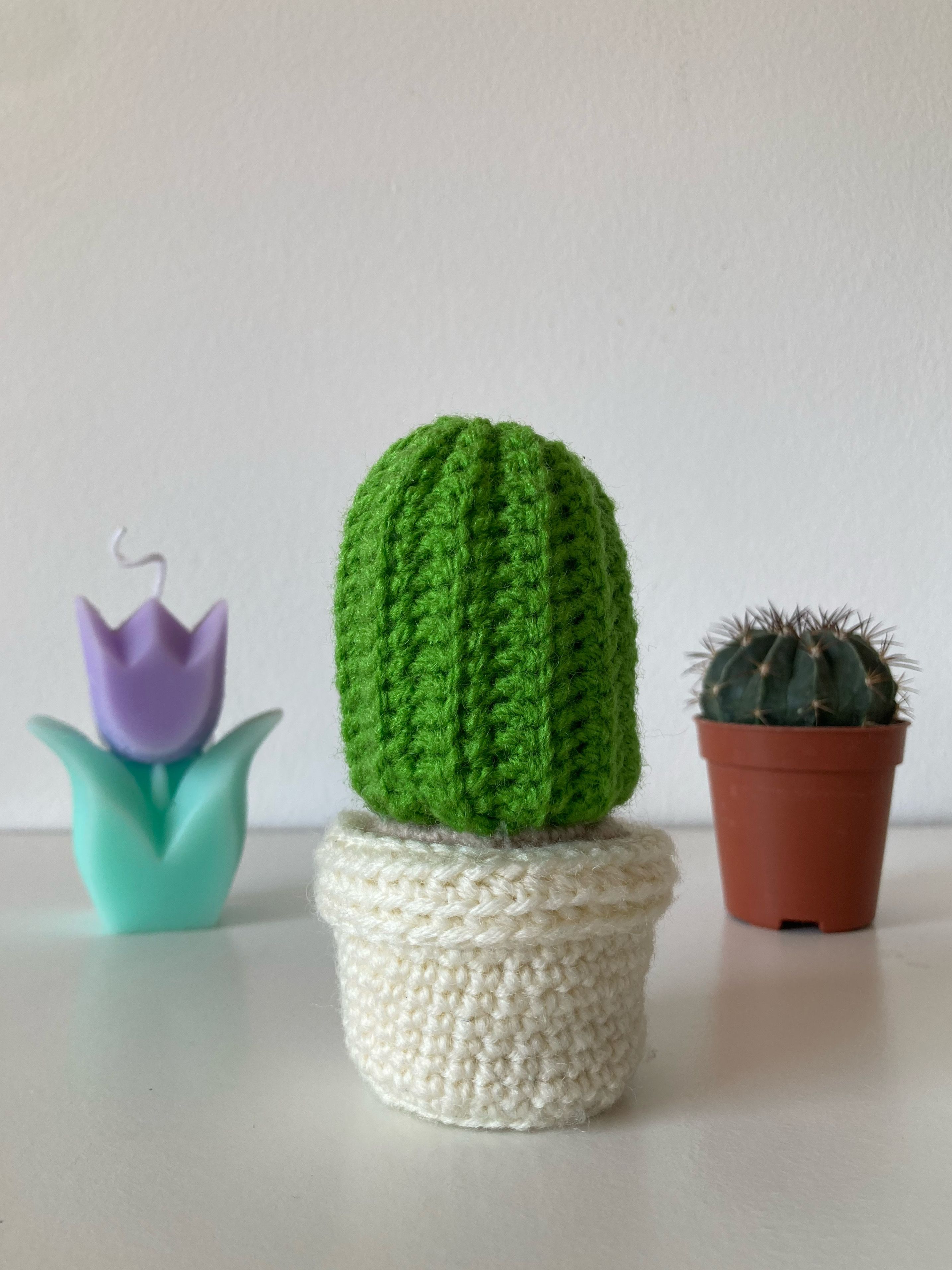 na5y6a3idwrsrkcmvu25ptt3