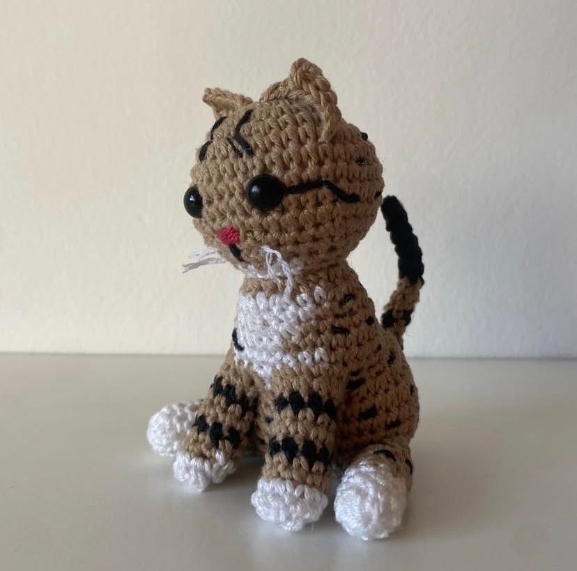 aajydyhgsr8px86zssa7239v