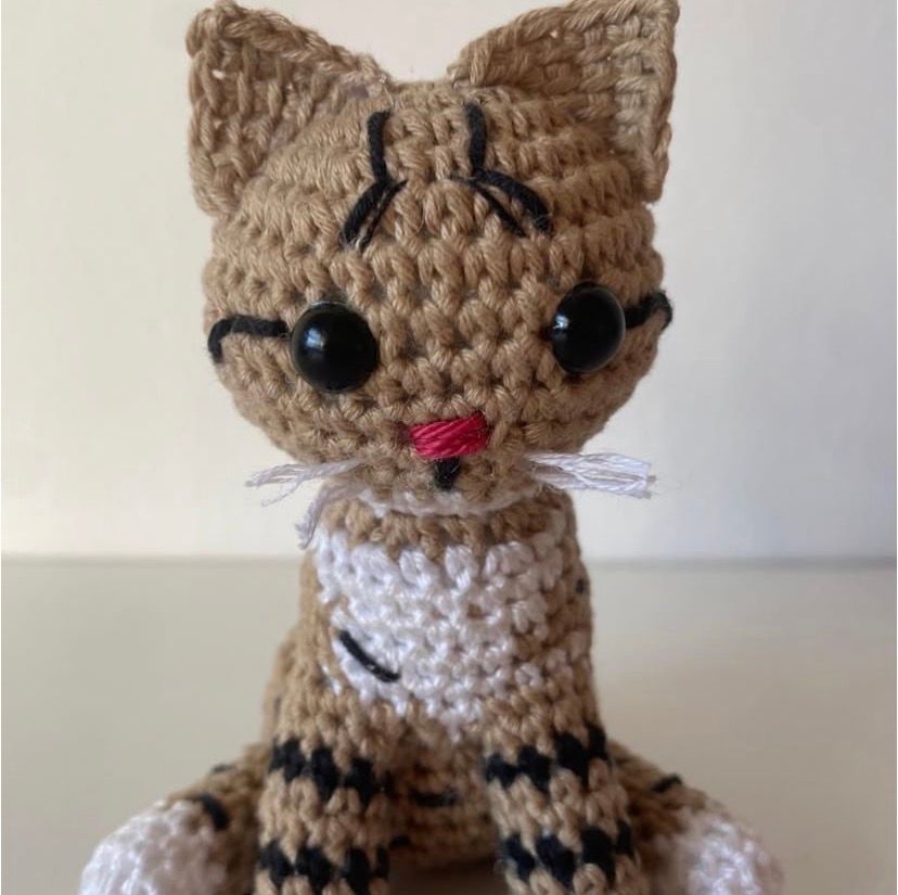 ni6fyebq3udmswp4xxbyg8mw