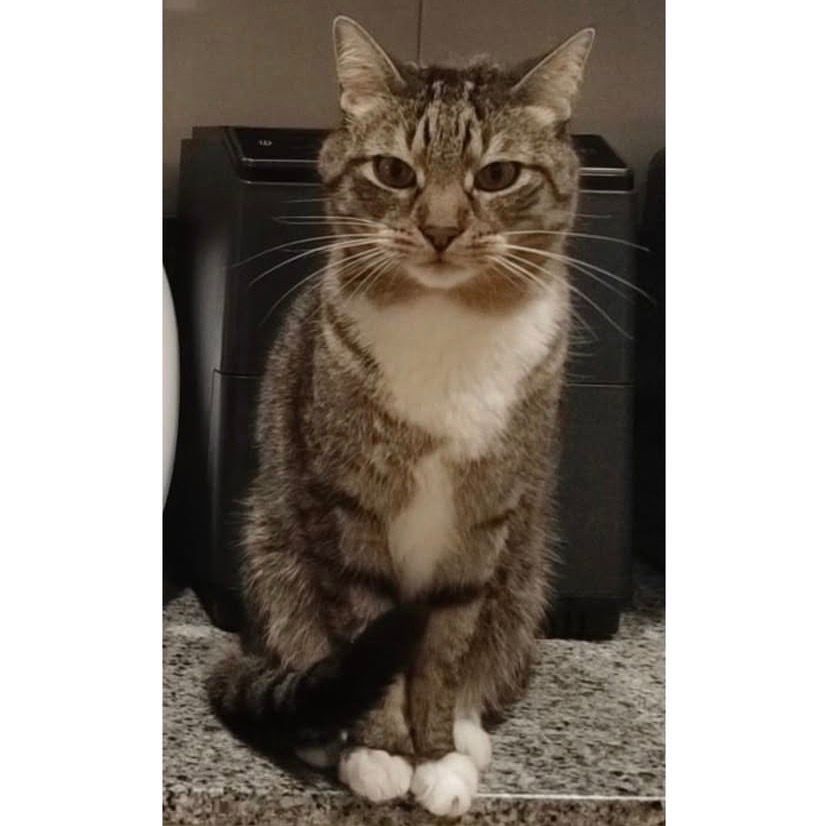 l3i1d5n8olu5id7qagmh7fh6