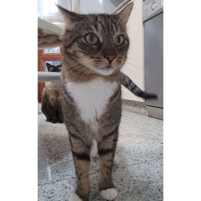 i5z1oop6wbtkkfulkdkrlm4p