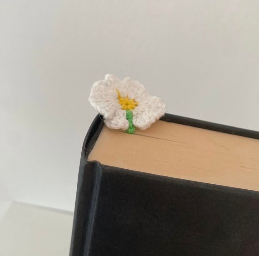 tp324dyjzpxq4pwold5vq7v2