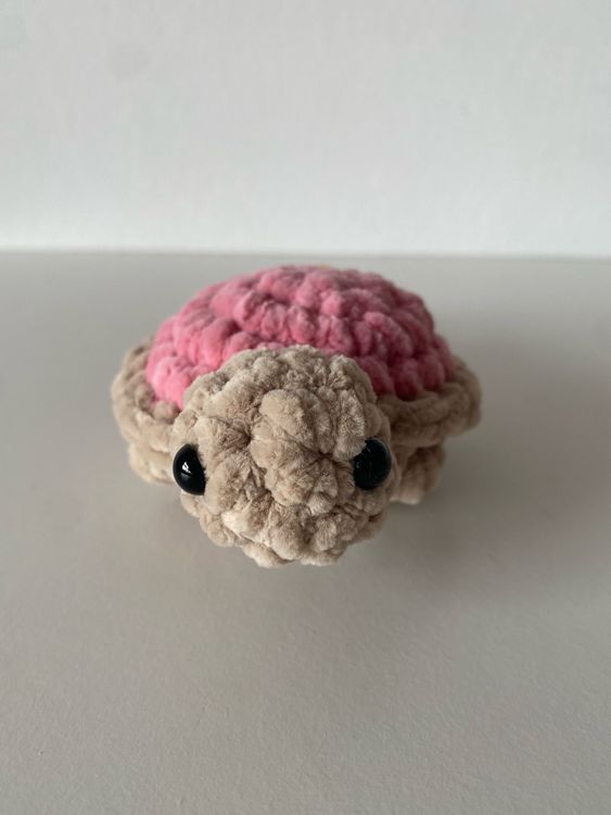 imagen de Tortuga