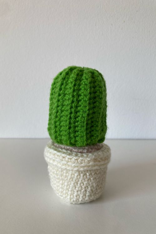 imagen de Cactus - maceta